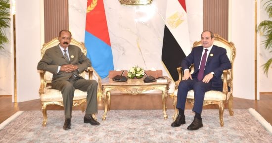 الرئيس السيسى يؤكد لأفورقى دعم مصر الكامل لأمن واستقرار دولة إريتريا واحترام سيادتها