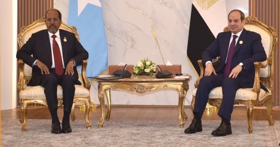الرئيس السيسى ونظيره الصومالى يبحثان القضايا المرتبطة بأمن واستقرار القرن الأفريقى وباب المندب وخليج عدن والبحر الأحمر.. الرئيس: حريصون على مواصلة تقديم مختلف أشكال الدعم للأشقاء فى الصومال