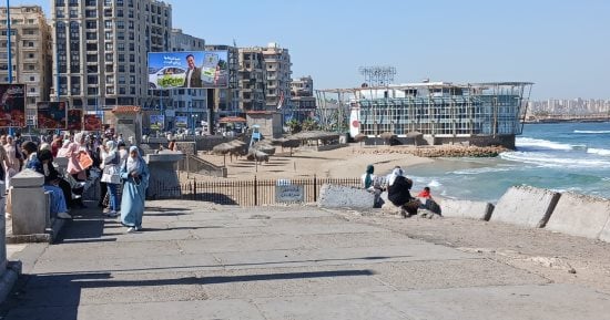 صورة الخبر