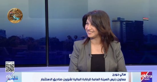 الرقابة المالية: إطلاق صندوق لإحياء المصانع المتعثرة بمليار جنيه