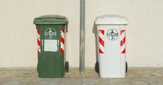 صورة الخبر