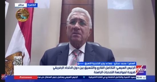 دبلوماسى سابق: التكامل الأفريقي حائط صد أمام تحديات القارة