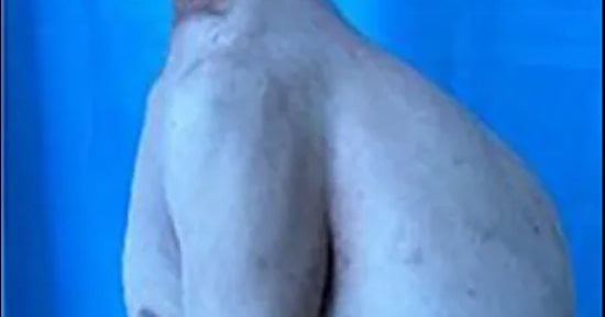 صورة الخبر