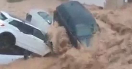 صورة الخبر