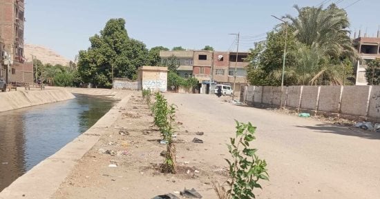 مبادرة شبابية لتشجير مداخل قرية الخضيرات بنجع حمادي في قنا