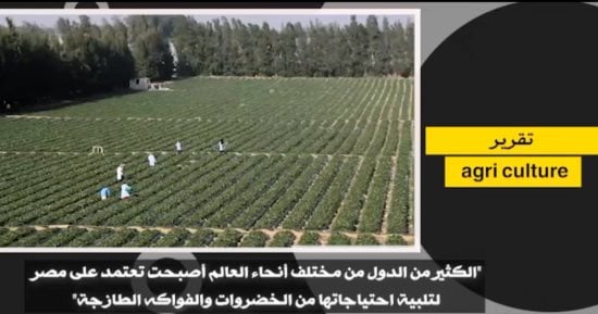 صورة الخبر
