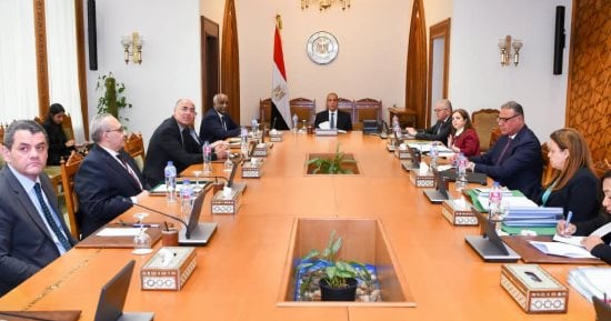 وزير الخارجية يجتمع مع مجلس إدارة الوكالة المصرية للشراكة من أجل التنمية