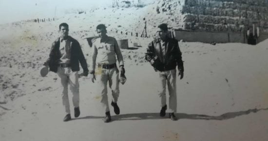 صورة الخبر
