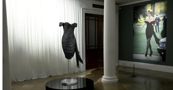 صورة الخبر