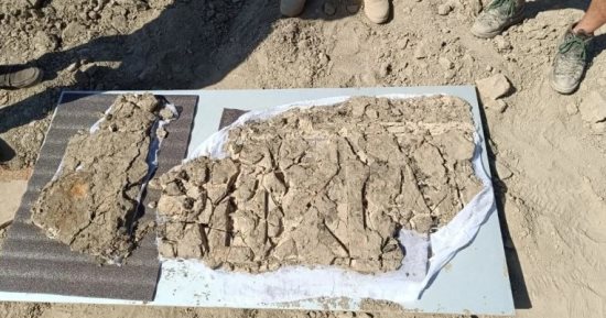 زخارف ونقوش كوفية.. اكتشاف أثرى نادر من العصر السامانى فى أوزبكستان