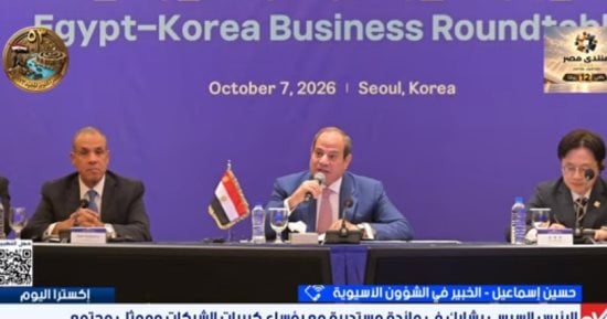 خبير: جولات الرئيس السيسي بآسيا تستهدف توطين الصناعة الكورية بمصر