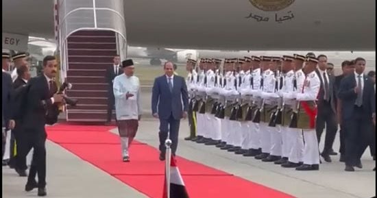 صورة الخبر