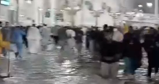 صورة الخبر