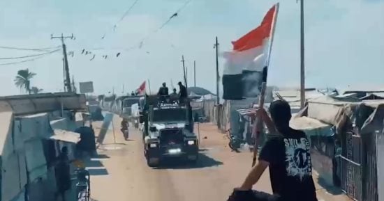 صورة الخبر