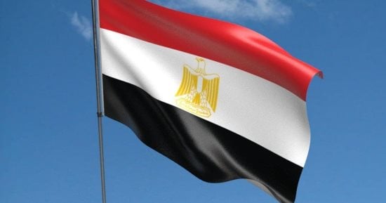صورة الخبر