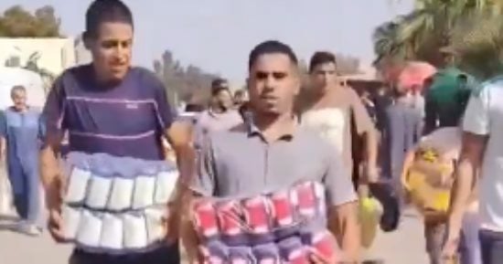 صورة الخبر