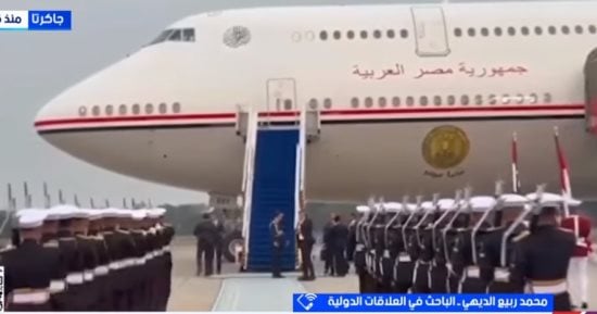 خبير: مصر تنوع شراكاتها لتعزيز التنمية ومواجهة التحولات العالمية