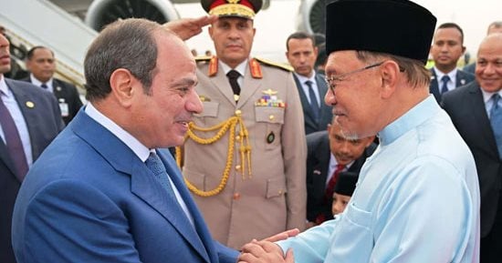 صورة الخبر
