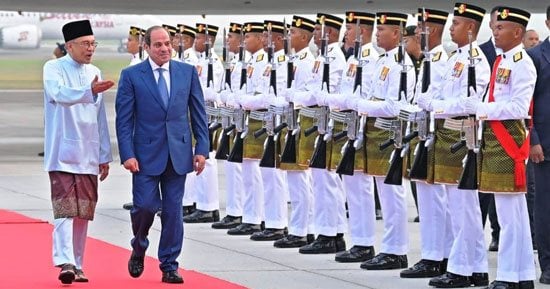 صورة الخبر