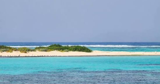 جزيرة شواريت.. مملكة الشعاب المرجانية والمياه الفيروزية بالبحر الأحمر