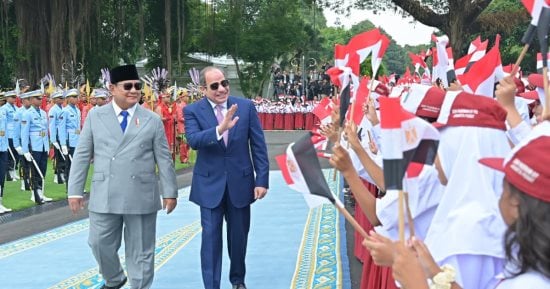 استقبال الرئيس السيسى ومباحثاته مع نظيره الإندونيسى بالقصر الرئاسى ميرديكا.. صور
