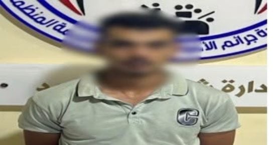 ضبط شخصين بالمنيا استوليا على أموال المواطنين بانتحال صفة موظفي بنوك وتطبيقات دفع