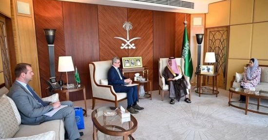 سفير روسيا فى مصر يلتقي بنظيره السعودي فى القاهرة