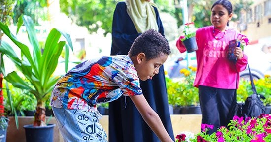 زهور مصر.. المتحف الزراعى يستقبل زوار المعرض الدائم للنباتات 