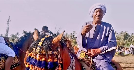منذ 53 عاما.. العمدة فراج عميد خيالة قنا يحكي تجربته مع سباقات الخيل وتربيتها