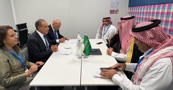وزير الخارجية يلتقى الرئيس التنفيذى للصندوق السعودى للتنمية