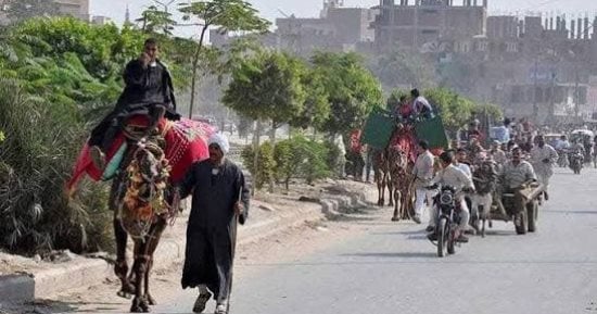 طنطا تستقبل آلاف المريدين.. استعدادا لاحتفالات مولد السيد البدوى