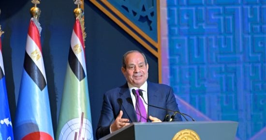 الرئيس السيسى يستعيد تصريح 2014 مع لميس وعيسى: ليس أمامنا سوى العمل والصبر