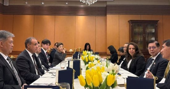 نائب رئيس الوزراء ووزير الخارجية التايلندي يعقدان غداء عمل على شرف وزير الخارجية