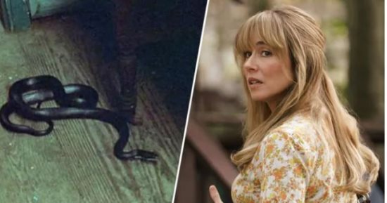 Crystal Lake يصحح واقعة قتل الثعبان فى Friday the 13th قبل 45 عاما