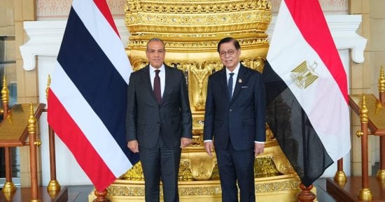 مصر وتايلاند تفتحان آفاقاً جديدة للشراكة السياسية والاقتصادية