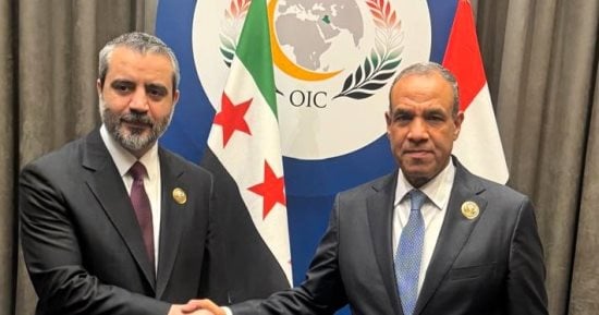 وزير الخارجية يؤكد موقف مصر الداعم لوحدة سوريا وسيادتها وسلامة أراضيها