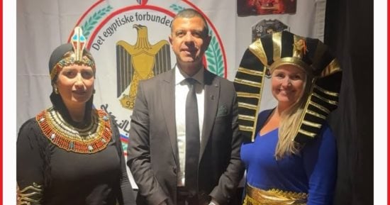 الجالية المصرية في النرويج تنظم جناحًا لمصر في مهرجان «أيام العالم للأطفال» بأوسلو.. صور