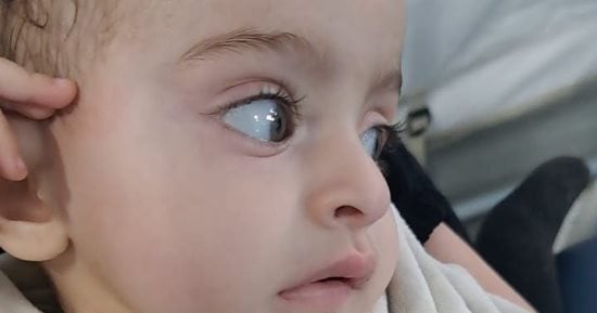 صرخة استغاثة لإنقاذ الطفلة سلمى أبو طالب في غزة.. ترقد في حالة حرجة بين المحاليل والجفاف.. أسرتها تخشى تكرار مأساة وفاة شقيقتيها بالأعراض نفسها.. وتناشد بالتدخل العاجل لكشف لغز المرض ومنحها فرصة للحياة