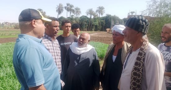 تركيب أعمدة إنارة بالطرق المؤدية لعزب النواورة فى أسيوط.. تفاصيل