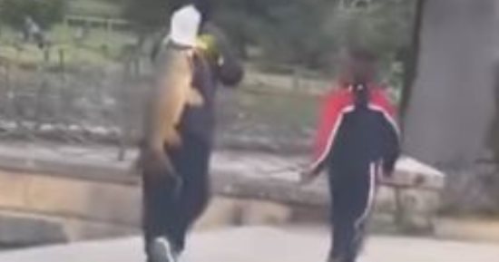 سمكة عملاقة تشعل الجدل فى سيدنى.. اعرف القصة