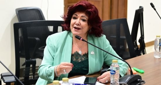 النائبة نورا علي: منتدى مصر 2026 استثمار فى الوعى والثقة