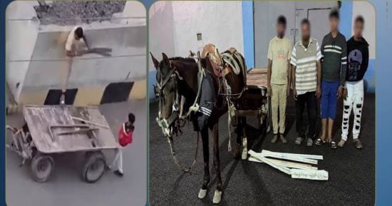 سقوط عصابة سرقة مهمات السكك الحديدية بالشرقية واستعادة المسروقات