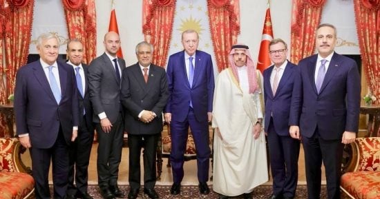 وزبر الخارجية يؤكد للرئيس التركي رفض مصر لتهديد أمن الملاحة الدولية
