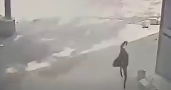 شاب يواجه سلعوه بيده ويمنعها عن عقر الأهالى بإحدى قرى المنيا