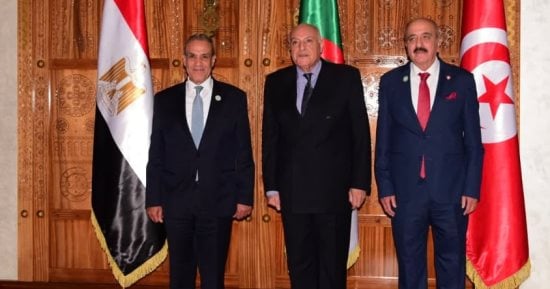 مصر والجزائر وتونس تتفق على دعم تسوية سياسية شاملة للأزمة الليبية.. بدر عبد العاطي: لا حل للأزمة الليبية إلا بتسوية ليبية خالصة.. ويؤكد دعم القاهرة لحل "ليبي- ليبي" يمهد لانتخابات رئاسية وبرلمانية متزامنة
