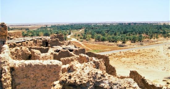 سكانها 1000 نسمة ويعتمدون على الزراعة والمقايضة.. جارة أم الصغير  أصغر واحة مصرية في قلب الصحراء الغربية