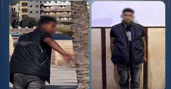 ضبط عامل بالبحيرة ظهر فى فيديو يتضمن أفعالا خادشة للحياء فى الطريق العام