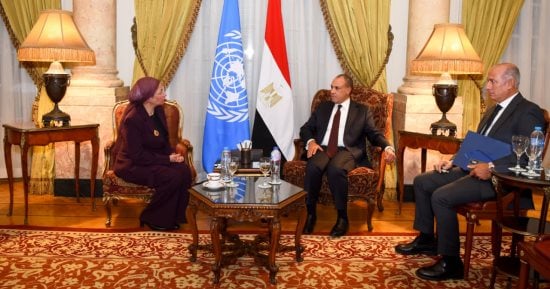 وزير الخارجية يلتقي السكرتير التنفيذي لاتفاقية الأمم المتحدة لمكافحة التصحر