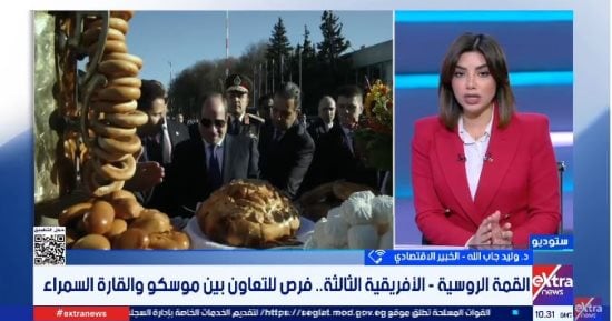 خبير اقتصادي: القمة الروسية الأفريقية تفتح آفاقًا لتعزيز الأمن الغذائى