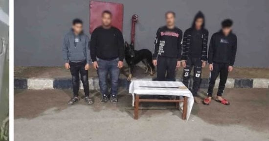 الداخلية تكشف ملابسات فيديو ادعاء ممارسة البلطجة وتجارة المخدرات في البحيرة